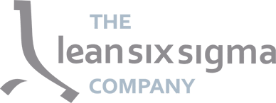 The Lean Six Sigma Company